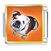 Animal Photo Brown White Bulldog Italian Charms Bracelet Link