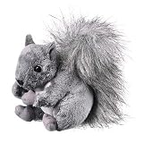 Squirrel 6