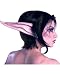 World of Warcraft Night Elf Latex Prosthetic Kit