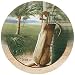 Kitchen & Housewares : A Day In Paradise Thirstystone Sandstone Coaster