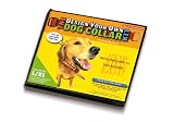 Design Your Own Dog Collar - Large