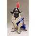 Pirate Pup Dog Costume - MEDIUM