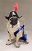 Pirate Pup Dog Costume - MEDIUM