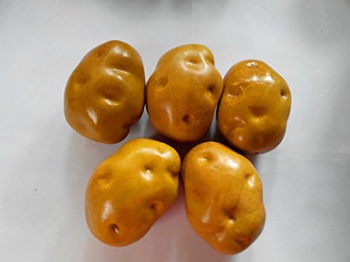10pcs ZYBF Artificial Fake Brown Potato