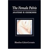The Female Pelvis Anatomy & Exercises