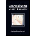 Female Pelvis: Anatomy & Exercises