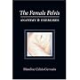 The Female Pelvis Anatomy & Exercises