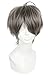 ROLECOS Mens Short Straight Anime Cosplay Wigs Fluffy Synthetic Hair Wig Grey JF532
