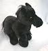 Webkinz Black Stallion