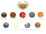 Gulp Peeler Crab 1 Natural