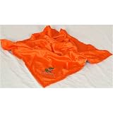 Florida Gators NCAA Baby Blanket