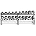 Hampton Fitness Club Set Eclipse Chrome Dumbbells: Includes 10 Pair Dumbbells (5-50 in 5 lb. increments), Rack Included (Commercial Grade)