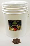 Review Living Whole Foods  / 35 Lbs - Bulk French Lentil Sprouting Seed Mix - 35 Lb Re-sealable Bucket - Delicious Nutty Crunchy French Lentils - High Germination Rate - Perfect for Edible Seeds, Gardening, Hydroponics, Salad, Soup, Sprouts & Food Storage - Sprout Indoors for Fun, Health & Great Taste.