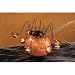 Spider Pumpkin Wear with Tea Light Holders