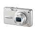Panasonic DMC-FX01BS Digital Camera - Silver [6MP, 3x Optical Zoom]