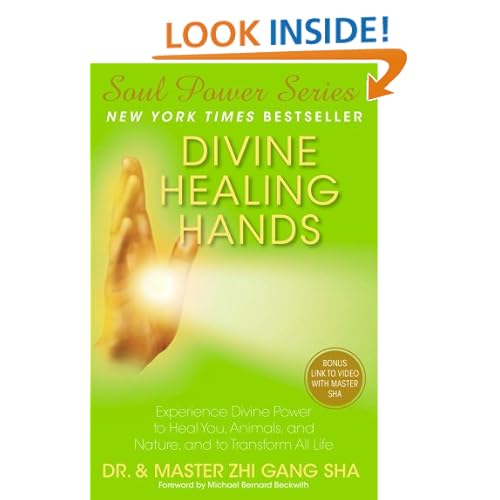 Divine Healing Hands: Experience Divine Power to Heal You, Animals, and Nature, and to Transform All Life (Soul Power)