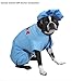 Dog Costume - Casual Canine ER Doctor Scrubs Pet Costume - Medium