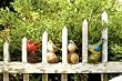 4 Assorted Birds on Acorns Garden Statuary