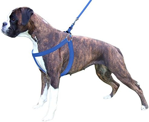 Premium Quality Dog Halter Harness With FREE MATCHING LEASH & "Dog Comfort & Protection System", Non-Pull For MEDIUM TO LARGE BREEDS, Easy Step-In Fitting, Fully Adjustable, Padded, Strong, Flexible [Color - Blue]