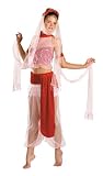 Enchanted Genie Costume - Womens Size 12-14