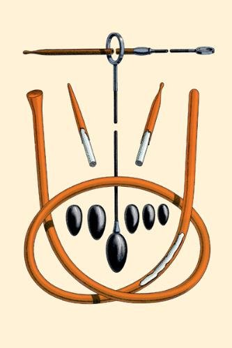 Dilators #1 by Jules Porges. CANVAS WITH BRUSHSTROKES with 1 1/2 inch bars. 9.87 inches width by 14.01 inches height. Highest Quality Art Poster Print