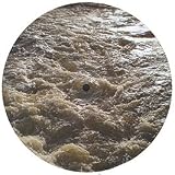 Holiday [7" VINYL]