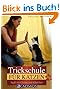 Trickschule für Katzen
