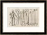 Selection of Medical Appliances Including Forceps and a Hook to Extract Bullets Framed Art Poster Print by Heister, 32x24