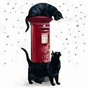 Postman Cat Luxury Christmas Cards Pack