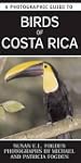 A Photographic Guide to Birds of Cost...