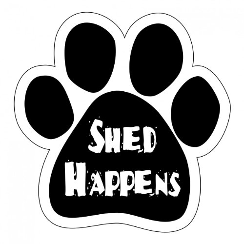 Shed Happens