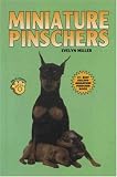 Miniature Pinschers (KW)