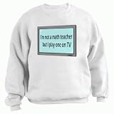 I'm not a math teacher but I play one on TV Youth Sweatshirt (for Kids) Various Colors Available