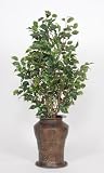 House of Silk Flowers Artificial Variegated Ficus Floor Plant