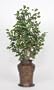 Artificial Variegated Ficus Floor Plant in Hammered Metal