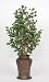 Artificial Variegated Ficus Floor Plant in Hammered Metal