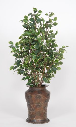 House of Silk Flowers Artificial Variegated Ficus Floor Plant