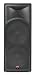 Cerwin Vega Pro Int-252 Intense Series Dual 15-Inch 2-Way Full Range Speaker