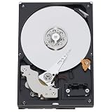Western Digital RE3 3.5-inch Enterprise SATA Hard Drive (500 GB, 1.2 million hours MTBF, 16 MB Cache, 7200 RPM)