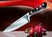 Wusthof Classic 10-Inch Cook's Knife