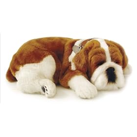 LIFE LIKE BULL DOG PUPPY by 