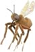 Plush Mosquito with Sound 8"