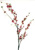 Quince/Cherry Blossom Branch x3 w/48 Flowers, 15 Buds & Leaves