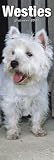 West Highland White Terrier 2009 Slim Appointment Calendar