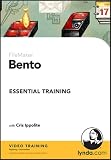 Bento Essential Training