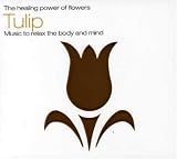 The Healing Power Of Flowers - Tulip