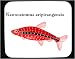 Mouse Pad with fish, aquarium