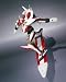 Robot Spirits Nirvash Type ZERO Spec2 Action Figure_s-3