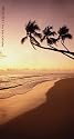 Tropical Beaches 2010-2011 2 Year Pocket Calendar
