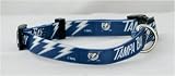 Tampa Bay Lightning NHL Pet Collar Adjustable 5/8 Web (Small)